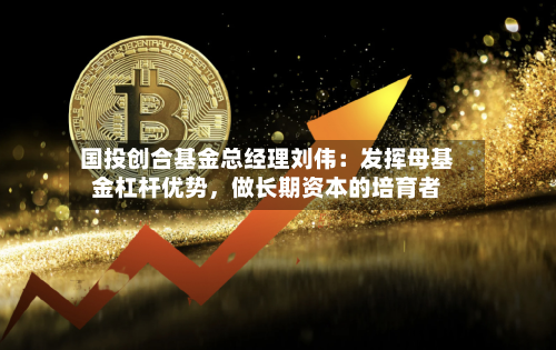 国投创合基金总经理刘伟：发挥母基金杠杆优势，做长期资本的培育者-第3张图片