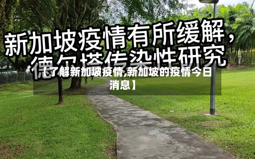 【了解新加坡疫情,新加坡的疫情今日消息】-第2张图片