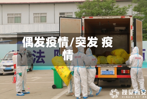 偶发疫情/突发 疫情