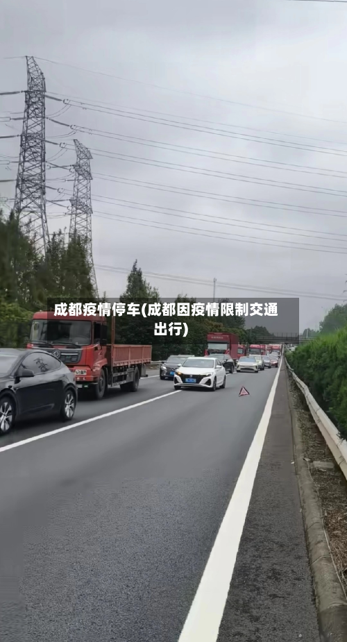 成都疫情停车(成都因疫情限制交通出行)