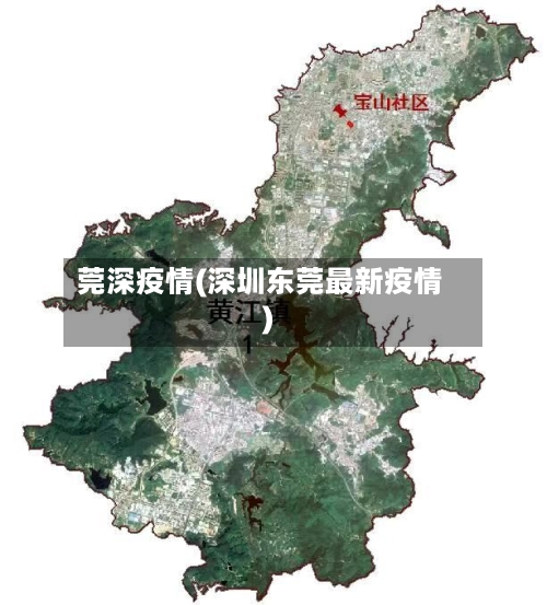 莞深疫情(深圳东莞最新疫情)-第3张图片