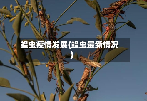 蝗虫疫情发展(蝗虫最新情况)