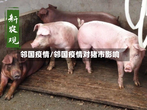 邻国疫情/邻国疫情对猪市影响-第2张图片