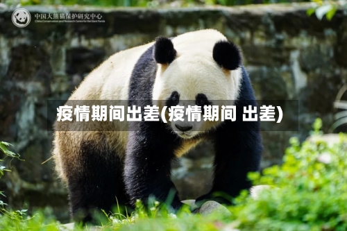 疫情期间出差(疫情期间 出差)-第3张图片