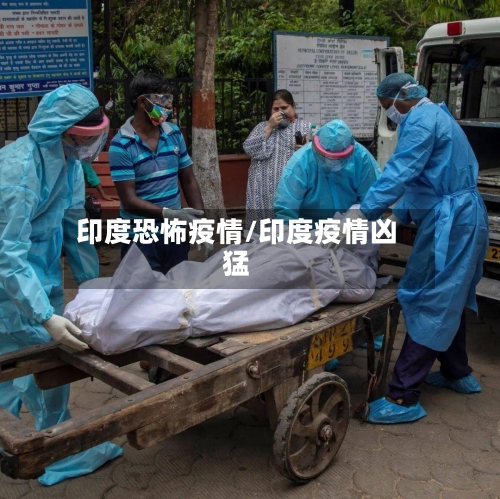 印度恐怖疫情/印度疫情凶猛