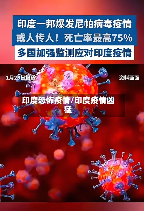 印度恐怖疫情/印度疫情凶猛-第2张图片