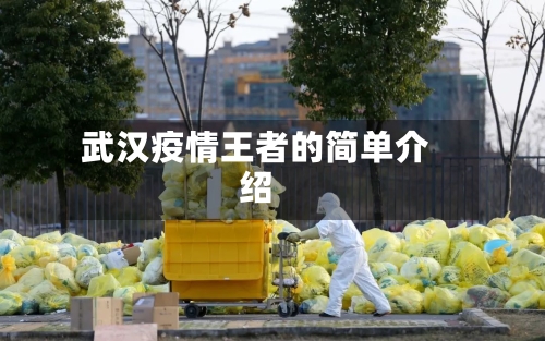 武汉疫情王者的简单介绍-第3张图片