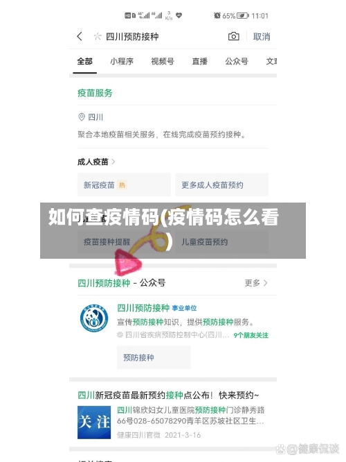 如何查疫情码(疫情码怎么看)