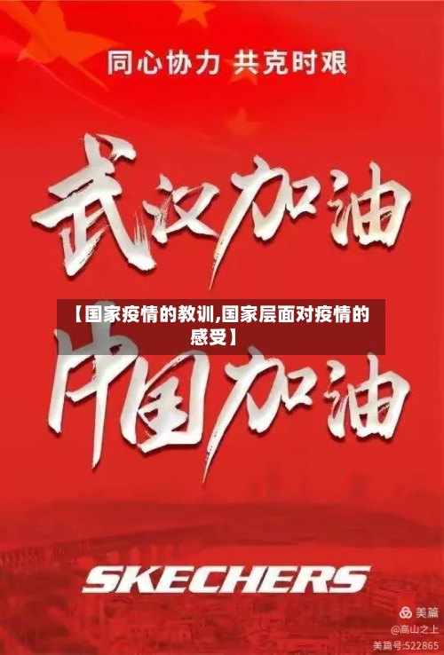 【国家疫情的教训,国家层面对疫情的感受】