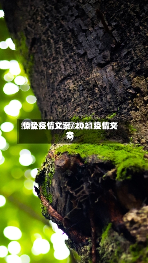 惊蛰疫情文案/2021疫情文案