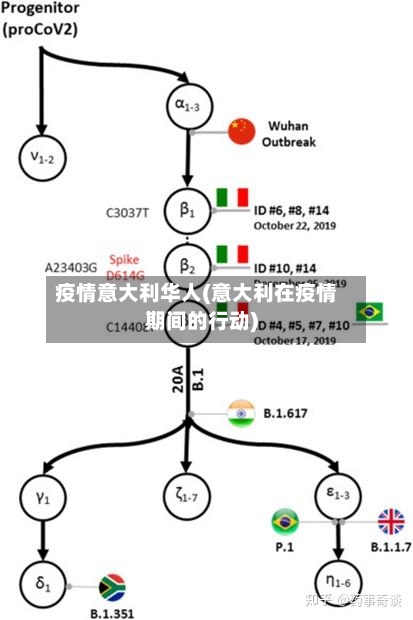 疫情意大利华人(意大利在疫情期间的行动)