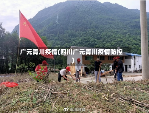 广元青川疫情(四川广元青川疫情防控)-第3张图片