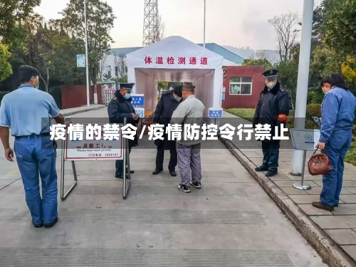 疫情的禁令/疫情防控令行禁止-第2张图片