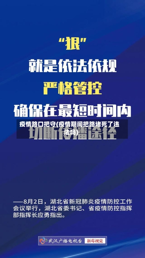 疫情路口把守(疫情期间把路堵死了违法吗)-第3张图片
