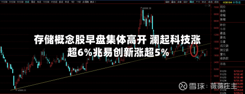 存储概念股早盘集体高开 澜起科技涨超6%兆易创新涨超5%-第2张图片