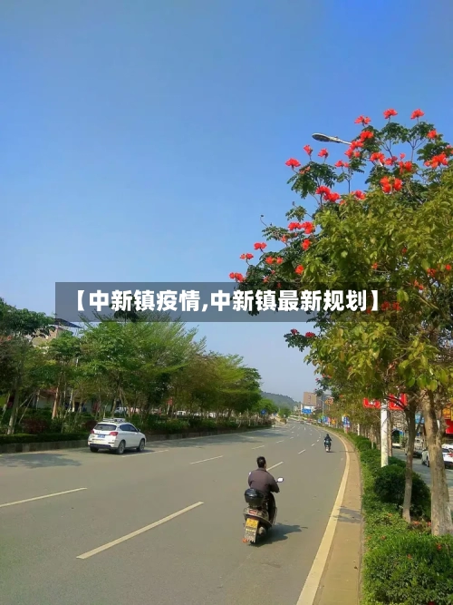 【中新镇疫情,中新镇最新规划】