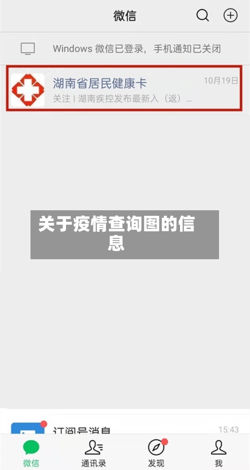 关于疫情查询图的信息
