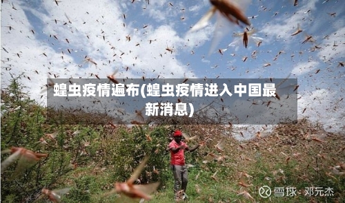 蝗虫疫情遍布(蝗虫疫情进入中国最新消息)-第3张图片