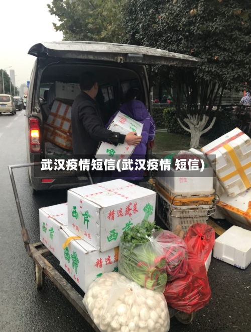 武汉疫情短信(武汉疫情 短信)-第2张图片