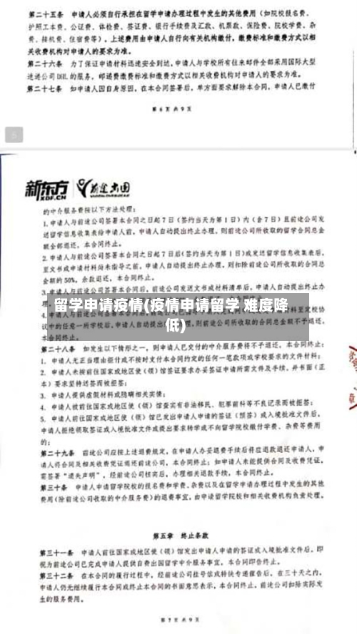 留学申请疫情(疫情申请留学 难度降低)-第2张图片