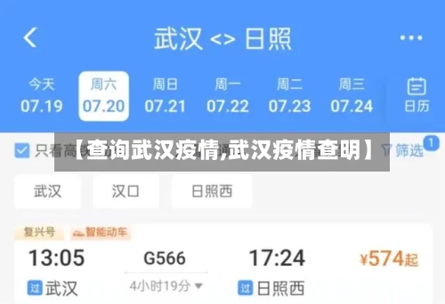 【查询武汉疫情,武汉疫情查明】-第2张图片