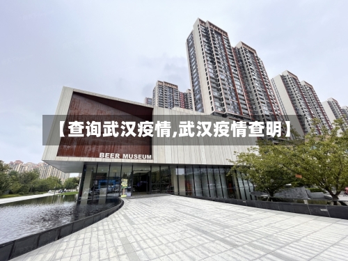 【查询武汉疫情,武汉疫情查明】