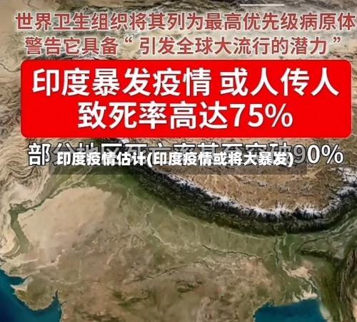 印度疫情估计(印度疫情或将大暴发)-第2张图片