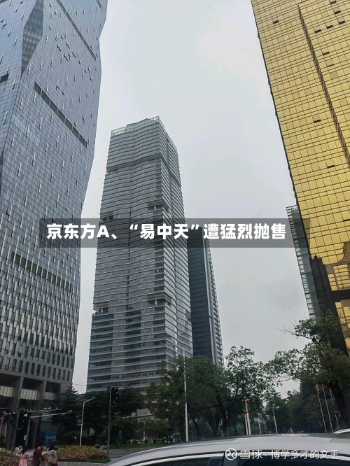 京东方A、“易中天”遭猛烈抛售-第2张图片