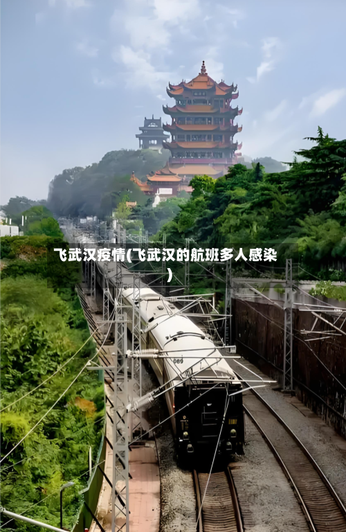 飞武汉疫情(飞武汉的航班多人感染)