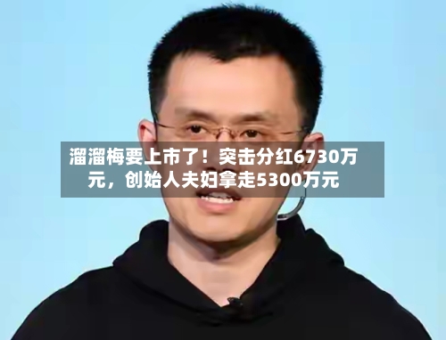 溜溜梅要上市了！突击分红6730万元	，创始人夫妇拿走5300万元-第2张图片