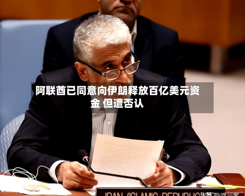 阿联酋已同意向伊朗释放百亿美元资金 但遭否认-第2张图片