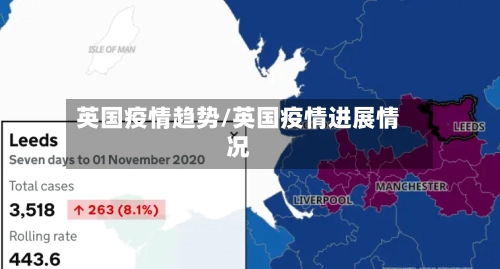 英国疫情趋势/英国疫情进展情况-第2张图片