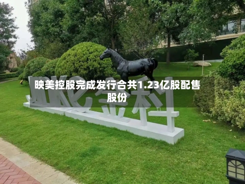 映美控股完成发行合共1.23亿股配售股份