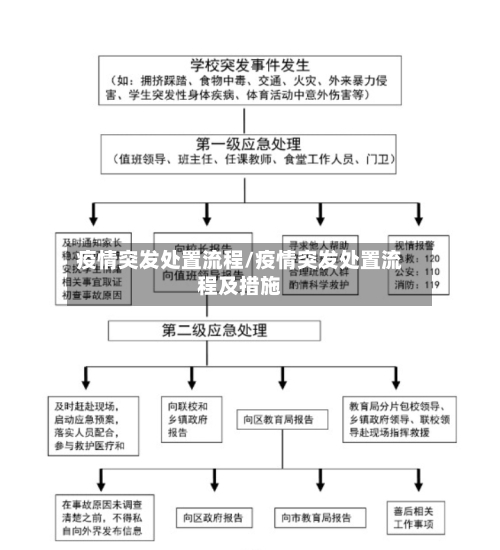 疫情突发处置流程/疫情突发处置流程及措施