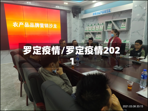 罗定疫情/罗定疫情2021