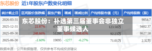 东芯股份：补选第三届董事会非独立董事候选人-第3张图片