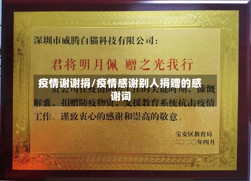 疫情谢谢捐/疫情感谢别人捐赠的感谢词