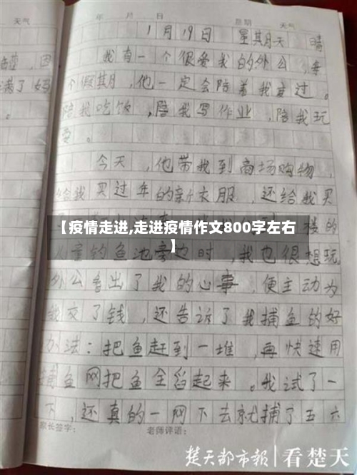 【疫情走进,走进疫情作文800字左右】-第2张图片