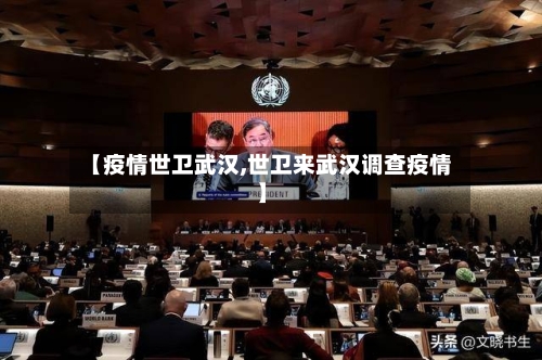 【疫情世卫武汉,世卫来武汉调查疫情】-第3张图片