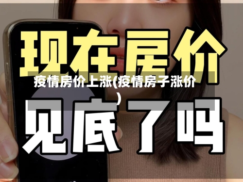 疫情房价上涨(疫情房子涨价)