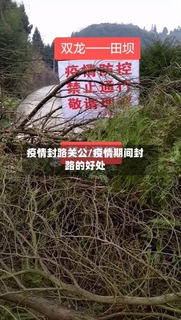 疫情封路关公/疫情期间封路的好处