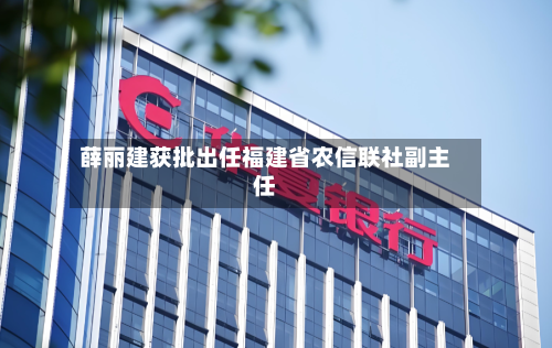 薛丽建获批出任福建省农信联社副主任