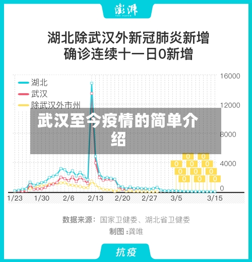 武汉至今疫情的简单介绍-第2张图片