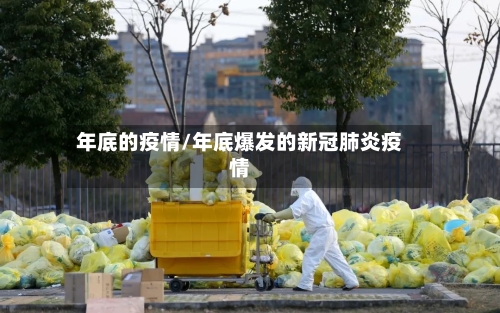 年底的疫情/年底爆发的新冠肺炎疫情-第3张图片