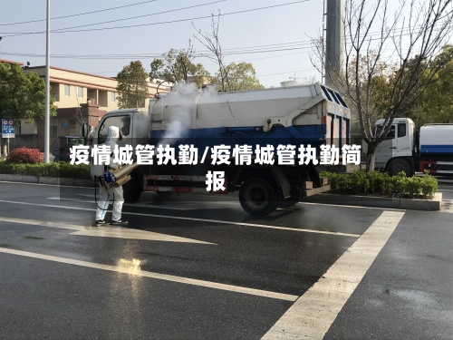 疫情城管执勤/疫情城管执勤简报