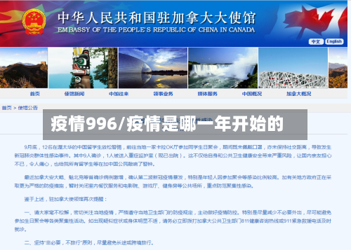 疫情996/疫情是哪一年开始的-第2张图片