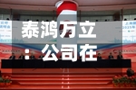 泰鸿万立：公司在低空经济	、人形机器人等新兴产业领域尚无具体的业务或项目-第3张图片