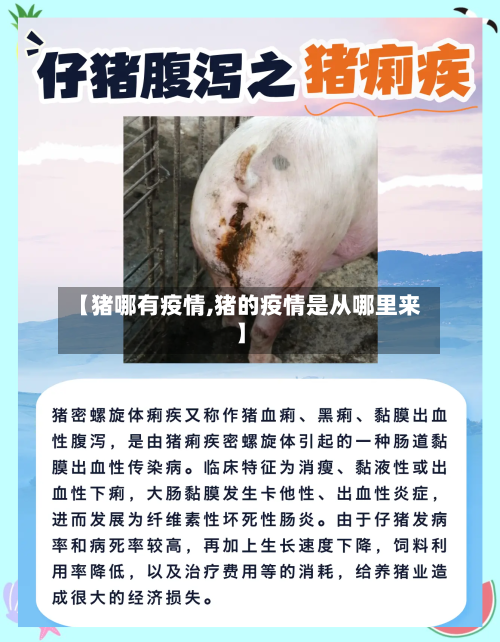 【猪哪有疫情,猪的疫情是从哪里来】-第3张图片