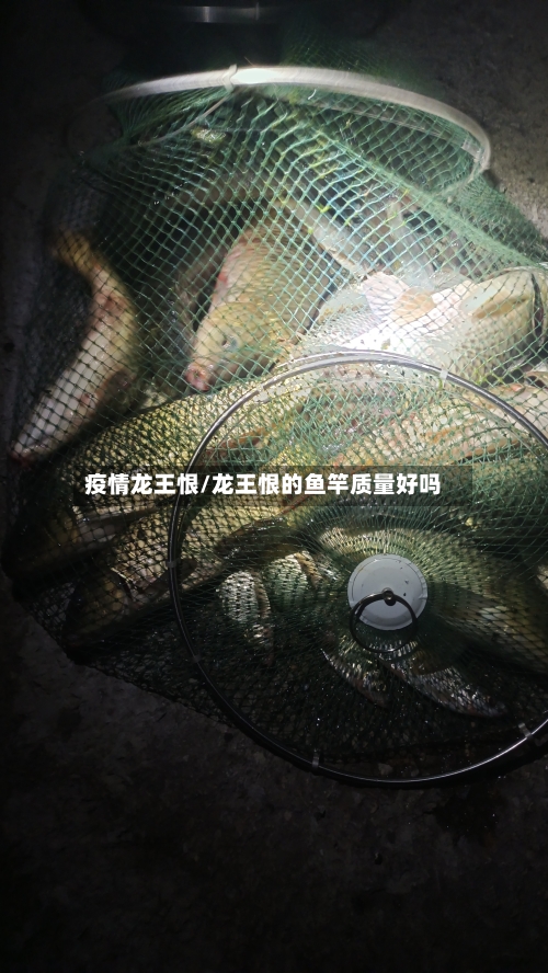 疫情龙王恨/龙王恨的鱼竿质量好吗-第2张图片