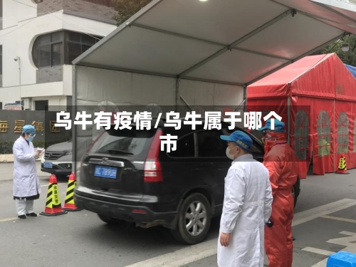 乌牛有疫情/乌牛属于哪个市